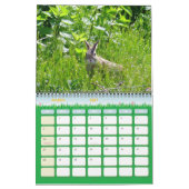 Calendrier de photographie de la faune (Mar 2027)