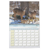 Calendrier de photographie de la faune (Jan 2027)