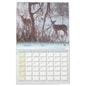 Calendrier de photographie de la faune (Feb 2027)