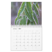 Calendrier de photographie de nature (Jan 2027)
