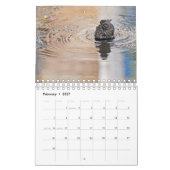 Calendrier de photographie de nature (Feb 2027)