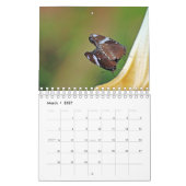 Calendrier de photographie de nature (Mar 2027)