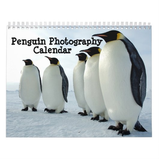 Calendrier de photographie de pingouin (Protection)