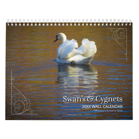 Calendrier de photographie des Cygnes et Cygnets (Protection)