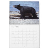 Calendrier de photographie d'ours (Mar 2026)