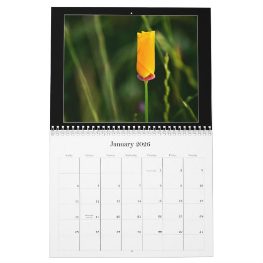 Calendrier de photographie en couleur 2010 (Jan 2026)