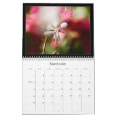 Calendrier de photographie en couleur 2010 (Mar 2026)