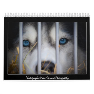 Calendrier de photos