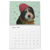 Calendrier de photos Bernedoodle 2026 (Jan 2027)