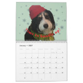 Calendrier de photos Bernedoodle 2026 (Jan 2027)