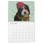 Calendrier de photos Bernedoodle 2026 (Jan 2027)