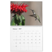Calendrier de photos de nature et de faune d'oisea (Feb 2027)