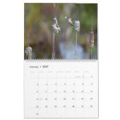 Calendrier de photos de nature et de faune d'oisea (Jan 2027)