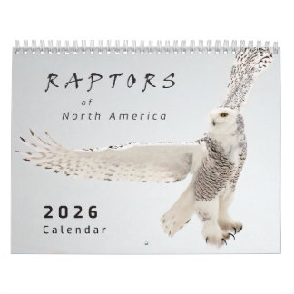 Calendrier de photos d'oiseaux de proie d'Amérique