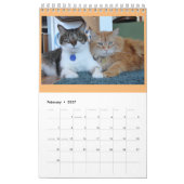 Calendrier de PipersPuddycats 2020 (Feb 2027)