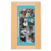 Calendrier de PipersPuddycats 2020