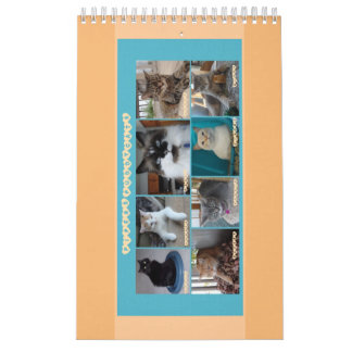 Calendrier de PipersPuddycats 2020