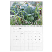 Calendrier de piscine de 2013 jardins - grand (Feb 2027)