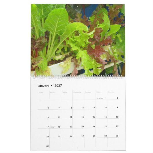 Calendrier de piscine de 2013 jardins - grand (Jan 2027)