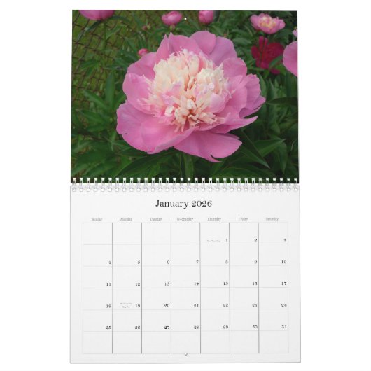 Calendrier de pivoine août 2007-juillet 2008 (Jan 2026)