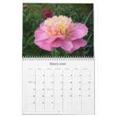 Calendrier de pivoine août 2007-juillet 2008 (Mar 2026)