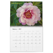 Calendrier de pivoines intersectionnelles 2009 - C (Feb 2027)