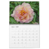 Calendrier de pivoines intersectionnelles 2009 - C (Mar 2027)