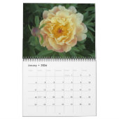 Calendrier de pivoines intersectionnelles 2010 (Jan 2026)