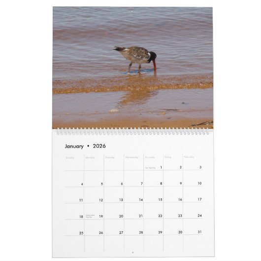 Calendrier de plage (Jan 2026)