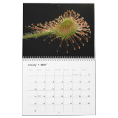Calendrier de plantes carnivores (Jan 2027)