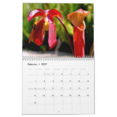 Calendrier de plantes carnivores (Feb 2027)