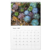 Calendrier de plantes grasses (Mar 2027)