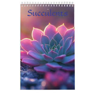 Calendrier de plantes grasses