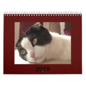 Calendrier de pli de 2019 écossais (Protection)