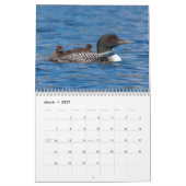 Calendrier de Plongeon Huard 2026 (Mar 2027)
