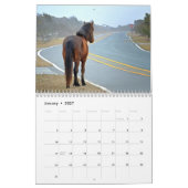 Calendrier de pony Assateague (Jan 2027)