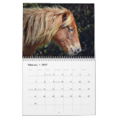 Calendrier de pony Assateague (Feb 2027)