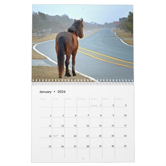 Calendrier de pony Assateague (Jan 2026)
