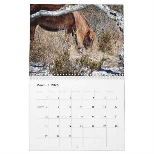 Calendrier de pony Assateague (Mar 2026)