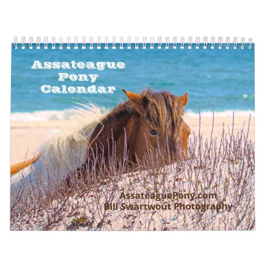 Calendrier de pony Assateague (Protection)