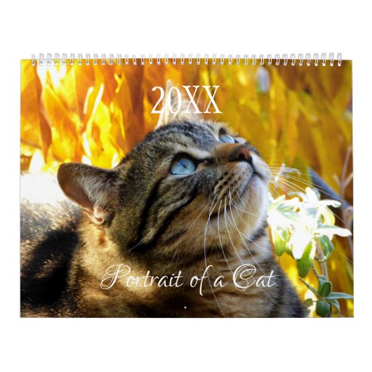 Calendrier de portrait de chat - HAMbyWG (Protection)