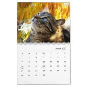 Calendrier de portrait de chat - HAMbyWG (Mar 2027)