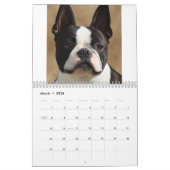 Calendrier de portraits de chien (Mar 2026)