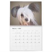 Calendrier de portraits de chien (Feb 2026)