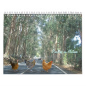Calendrier de poulet (Protection)