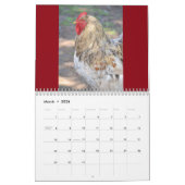 Calendrier de poulet (Mar 2026)