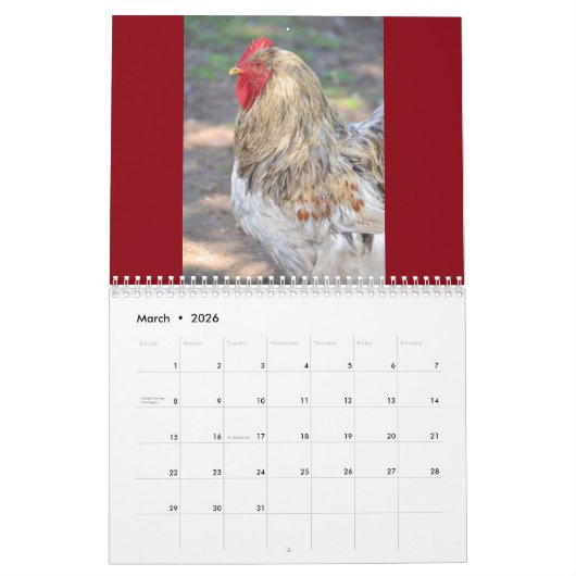Calendrier de poulet (Mar 2026)