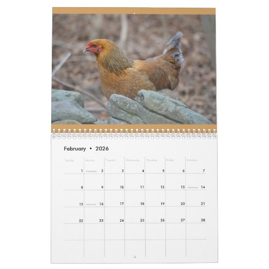 Calendrier de poulet (Feb 2026)