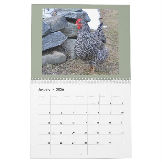 Calendrier de poulet (Jan 2026)
