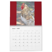 Calendrier de poulet (Mar 2027)